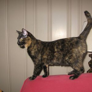 Meet your Posher, Diane